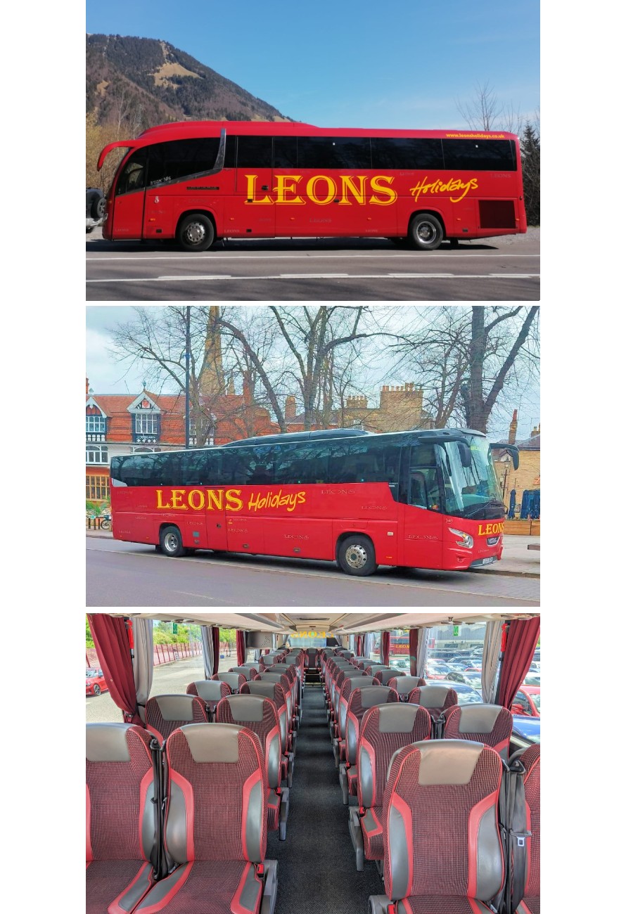 Executive coach