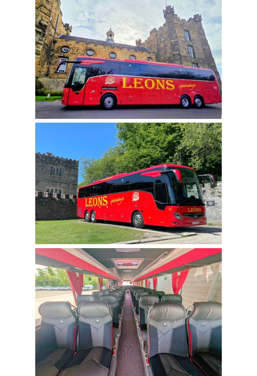 Executive coach