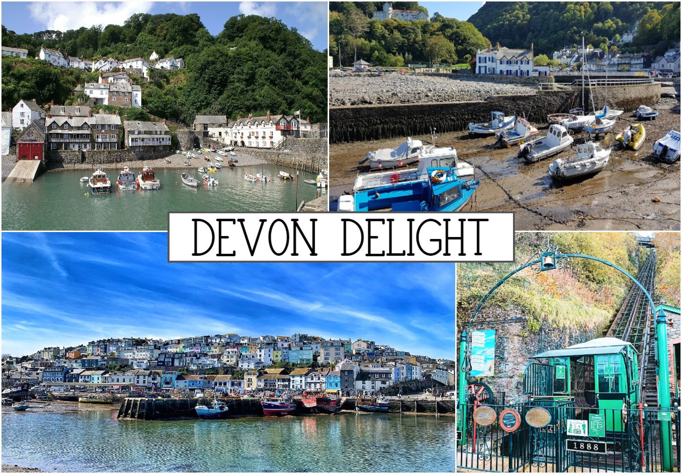DEVON DELIGHT