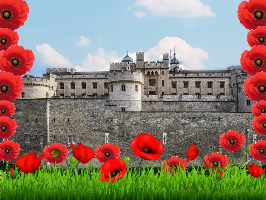 POPPIES AT THE TOWER - LONDON