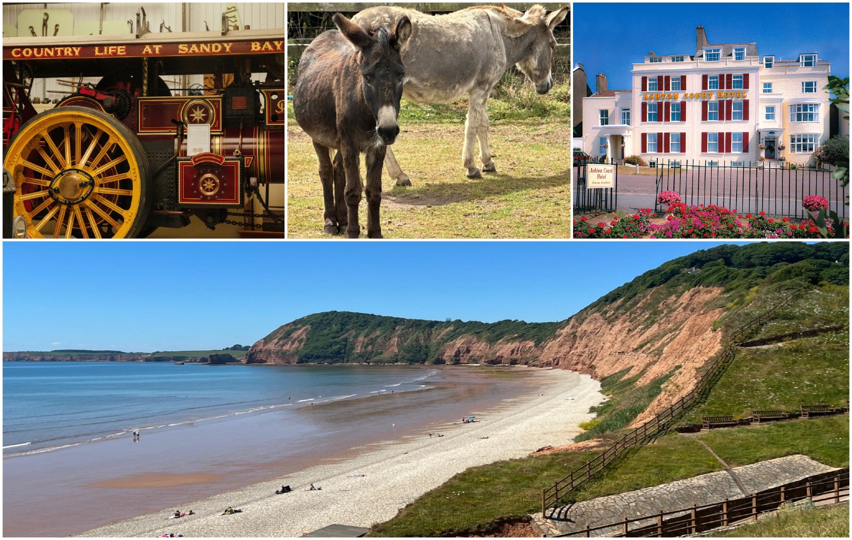 EXMOUTH & DEVON COAST 🦞