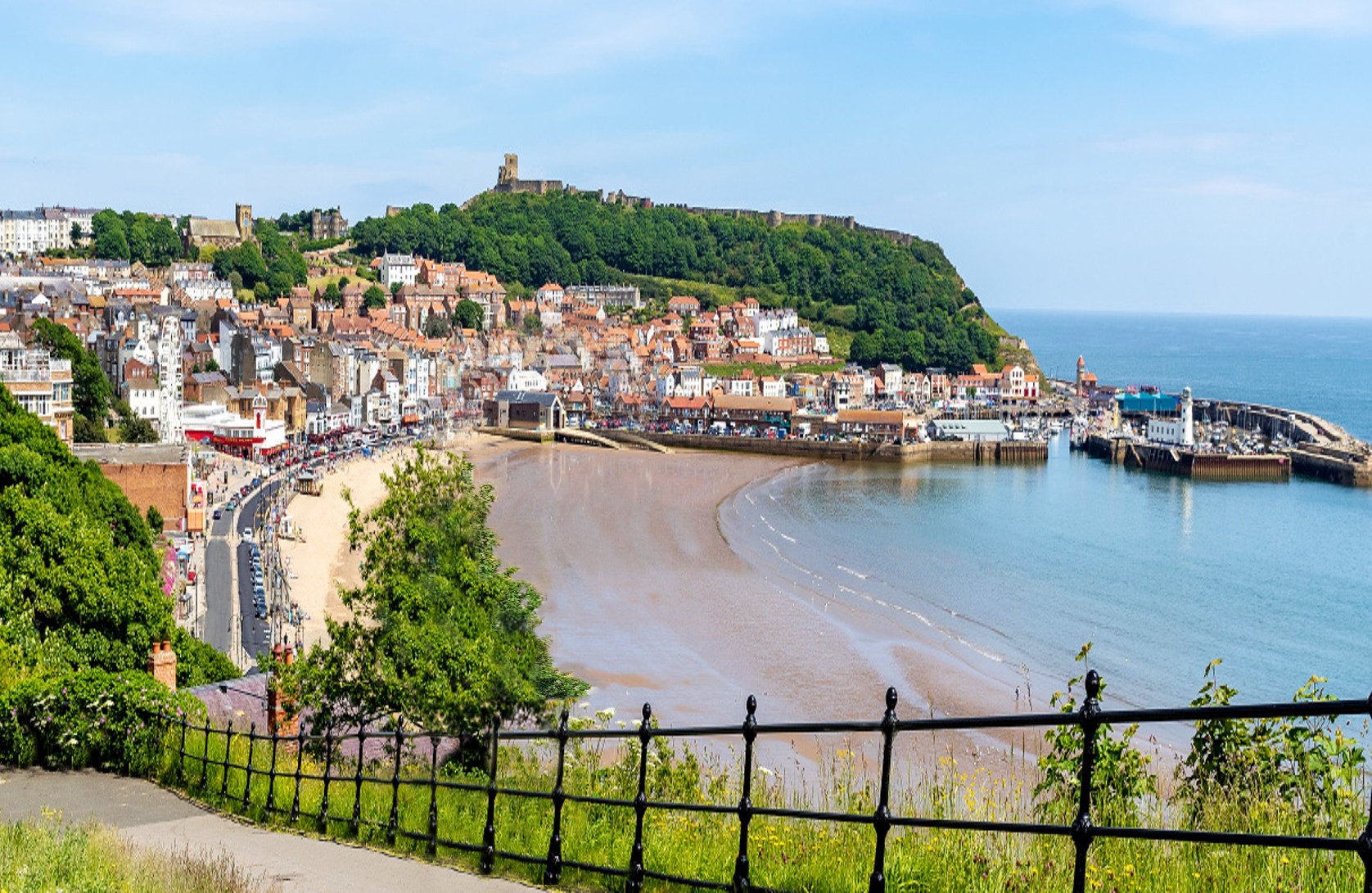 SCARBOROUGH & YORK TURKEY & TINSEL