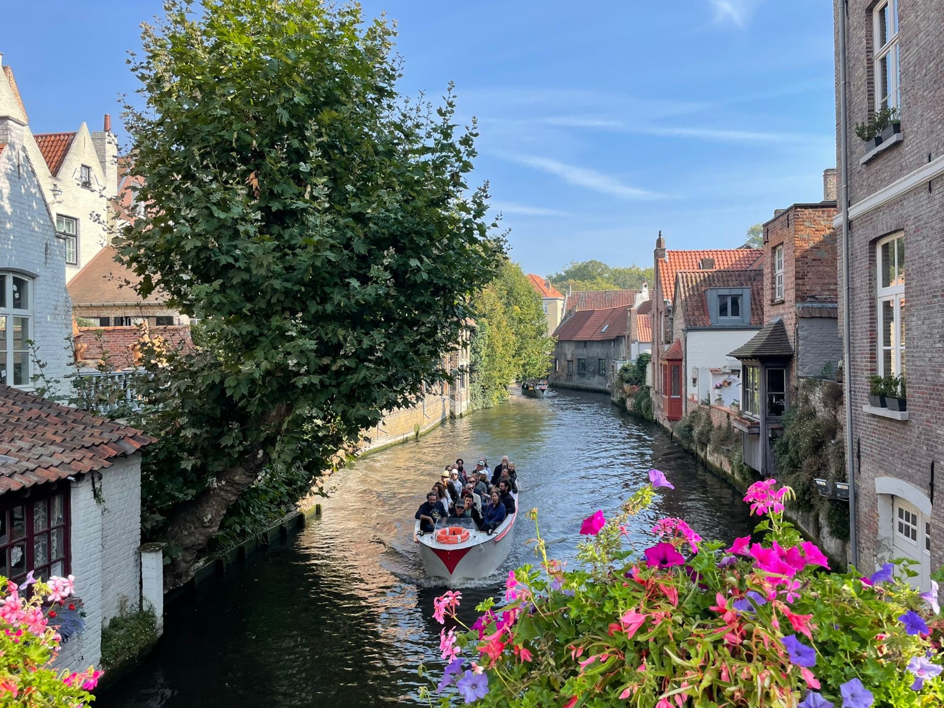 BRUGES 🖤🧡💛