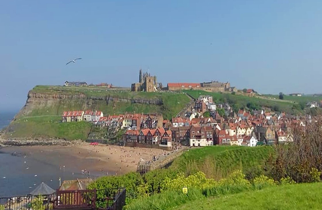 WHITBY 🦇🧛‍♀️