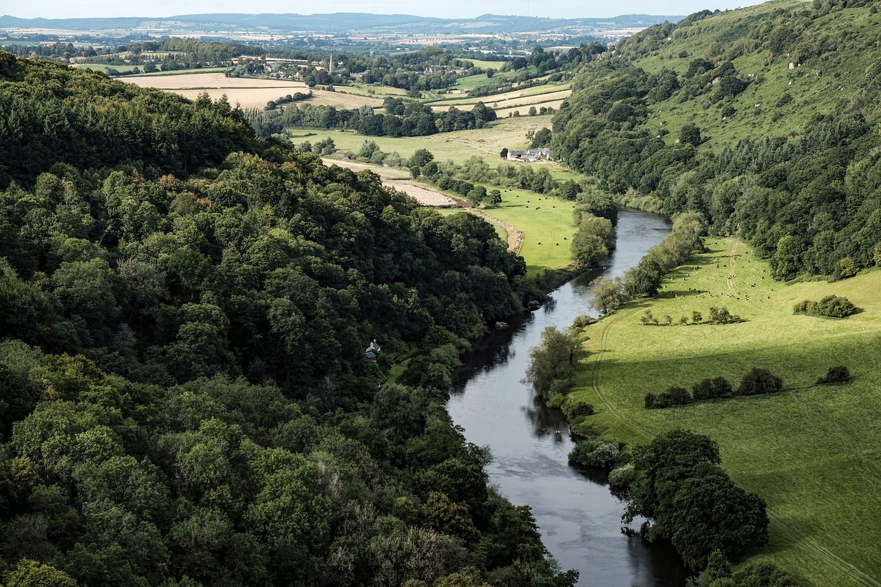 WYE VALLEY RIVER CRUISE 🛥️